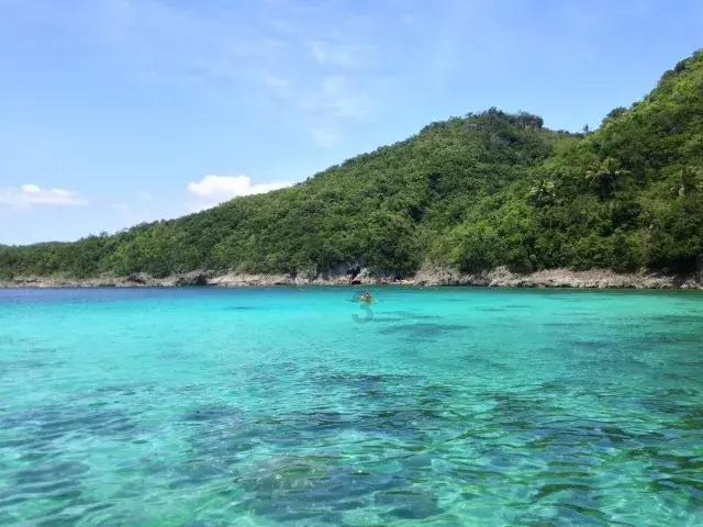 冬季养生好时期，多吃这6种天然药菜，调理身体，安稳过冬