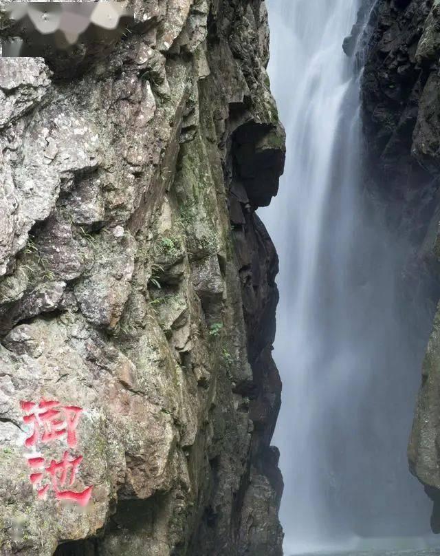 越有钱越小气,大老远跑到市区里找有钱表弟,他却请我们吃这些菜