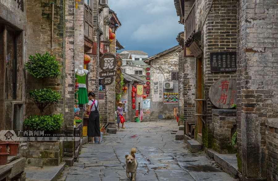 移动的靶心5