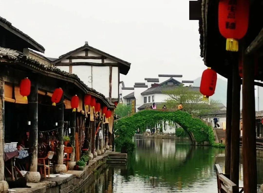 春雨直播app
